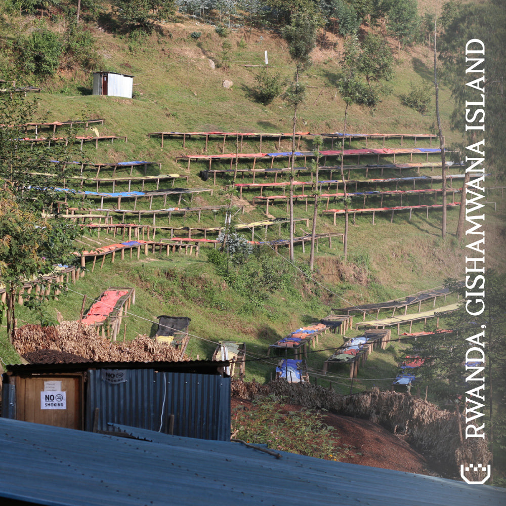 Rwanda Gishamwana Island - Single Origin Espresso